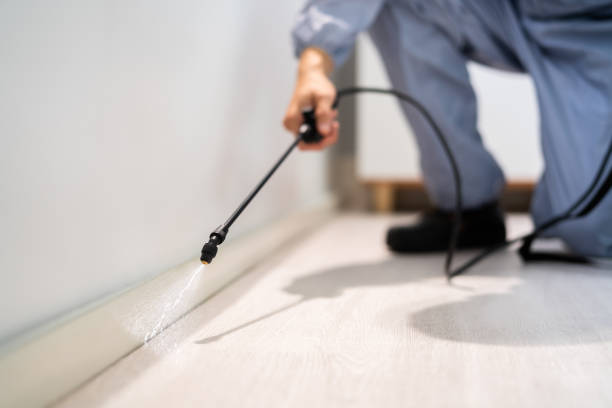Professional exterminator conducting IPM assessment in Martinez